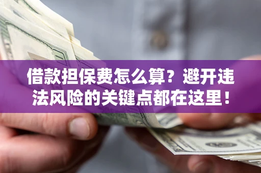 济南借款担保费怎么算？避开违法风险的关键点都在这里！