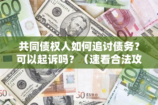 济南共同债权人如何追讨债务？可以起诉吗？（速看合法攻略）